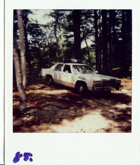 2001 Ford Crown Victoria - A police car sits parked off a dirt path, surrounded by trees and foliage.