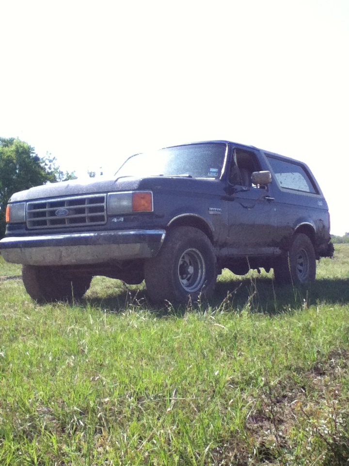 Dark blue Ford Bronco parked in a grassy field, front 3/4 view