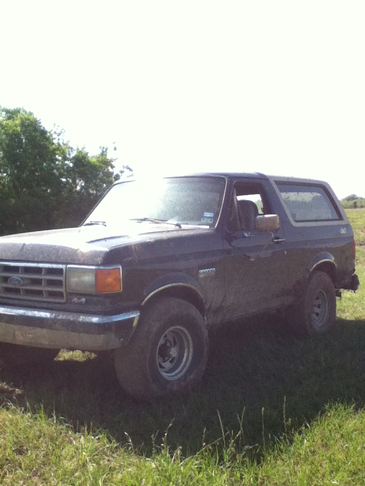 Dark blue Ford Bronco parked in a grassy field
