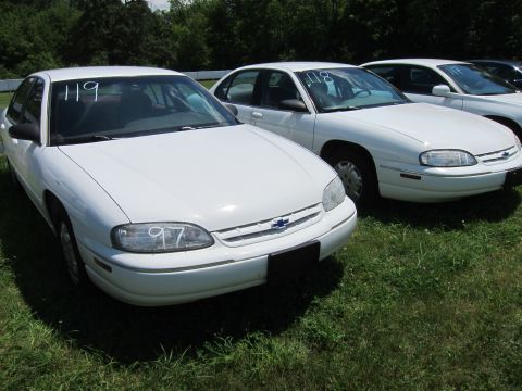 2001 Ford Crown Victoria - Multiple white sedans are parked on a grassy area under a tree line.