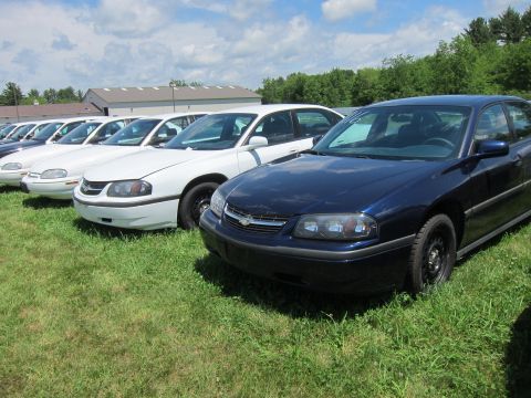 2001 Ford Crown Victoria - Multiple sedans are parked on a grassy field under a cloudy sky.