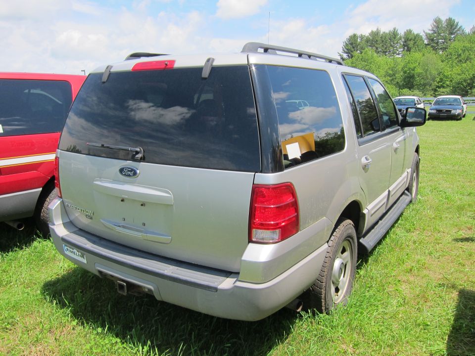 Silver Ford Expedition parked on grass, rear view. Red vehicle to the left