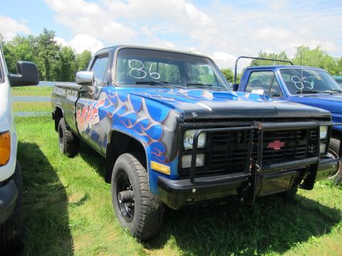 2001 Ford Crown Victoria - A blue pickup truck with flame graphics is parked next to another blue truck on a grassy lot.