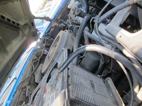 2001 Ford Crown Victoria - View of a vehicle's engine bay, showing the battery and various hoses and wiring.