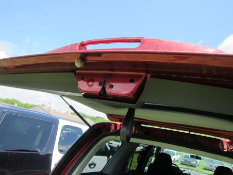 2001 Ford Crown Victoria - A wasp nest is attached to the trunk latch of a red vehicle, with other vehicles visible in the background.