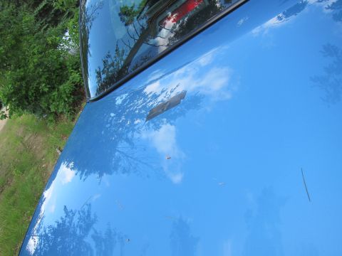 2001 Ford Crown Victoria - Close-up of a blue car's hood showing chipped paint and reflections of the surrounding environment.