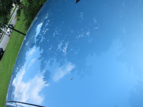 2001 Ford Crown Victoria - The reflective surface of a blue car hood shows a distorted view of the surrounding environment.