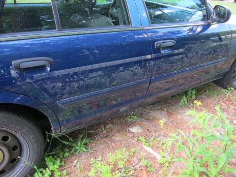 2001 Ford Crown Victoria - Side view of a blue sedan, showing the door panel and trim.
