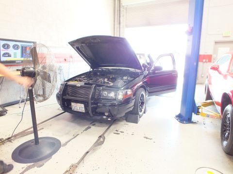 2003 Ford Crown Victoria - black sedan with its hood up and brush guard sits on a dyno beside a large floor fan, with a red car partly visible in the next bay.