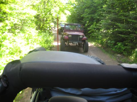 2005 Jeep Wrangler - A convoy of Jeeps travels down a wooded dirt road on a sunny day.