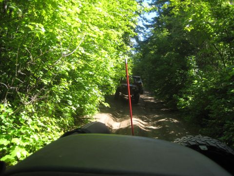 2005 Jeep Wrangler - Two Jeep Wranglers navigate a wooded dirt road, suggesting an off-road adventure.