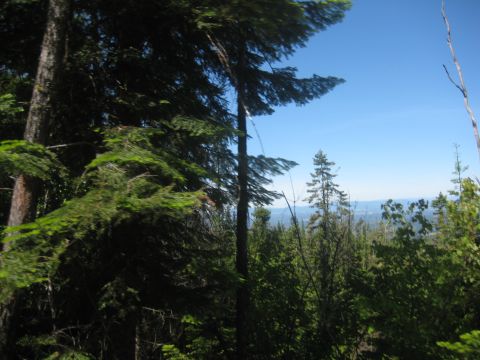 2005 Jeep Wrangler - View from a high elevation overlooking a dense forest and distant hazy hills.