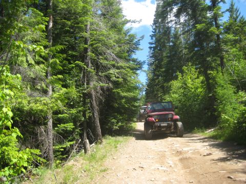 2005 Jeep Wrangler - Two Jeeps travel down a dusty forest road on a sunny day.
