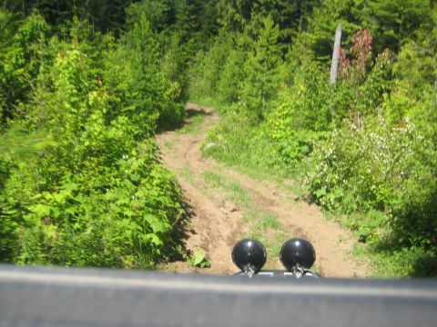 2005 Jeep Wrangler - A dirt track winds through dense green foliage, viewed from the perspective of an off-road vehicle.