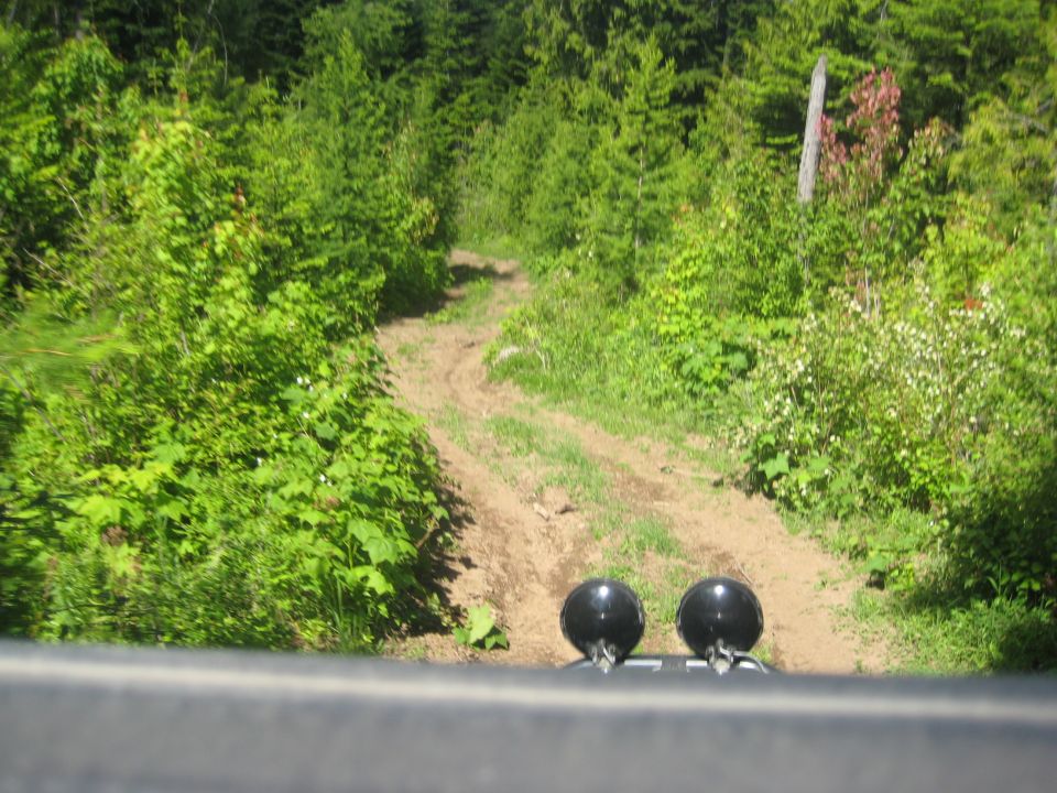 Off-road vehicle's dashboard view of a dirt track through a forest, with two black spotlights visible