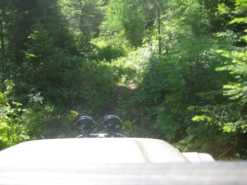 2005 Jeep Wrangler - A white vehicle with two black spotlights is partially visible in a wooded area, suggesting an off-road adventure.