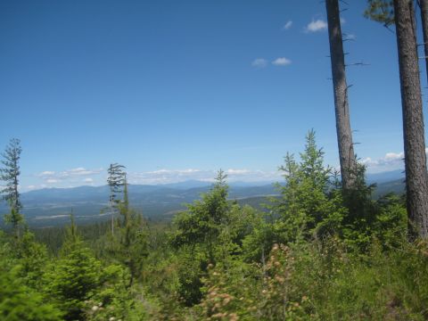 2005 Jeep Wrangler - A scenic view of mountains and evergreen trees under a clear blue sky.