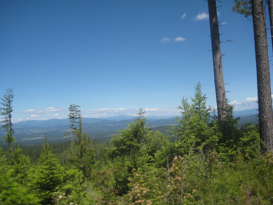 View from a mountain road, with trees and distant mountains under a blue sky