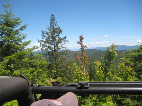 2005 Jeep Wrangler - View from inside a Jeep Wrangler, looking out at a lush green mountain range under a clear blue sky.