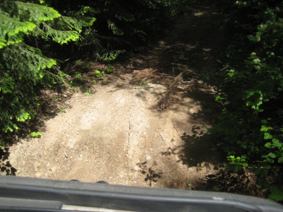 Dirt road through trees, seen from a vehicle's perspective