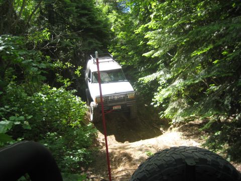 2005 Jeep Wrangler - A white Jeep Cherokee XJ navigates a narrow, wooded trail, with a portion of another vehicle's tire visible in the foreground.