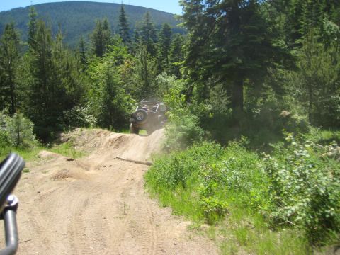 2005 Jeep Wrangler - A Jeep Wrangler navigates a dusty, off-road trail surrounded by dense forest and green foliage.