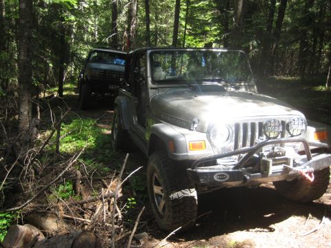 2005 Jeep Wrangler - Two SUVs navigate a wooded path, with a Jeep Wrangler in the foreground.