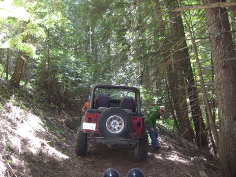 2005 Jeep Wrangler - A red Jeep Wrangler navigates a forest trail, showing its rear and spare tire.