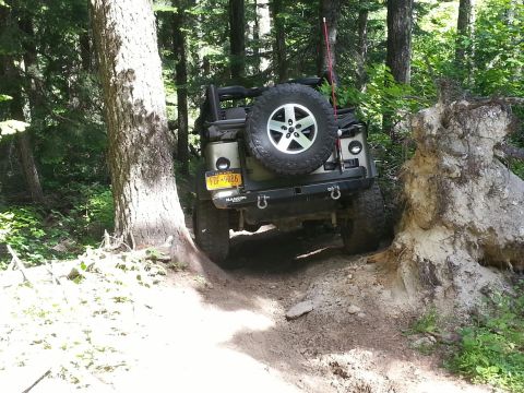 2005 Jeep Wrangler - A Jeep Wrangler navigates a tight, wooded trail, maneuvering around a large uprooted tree.