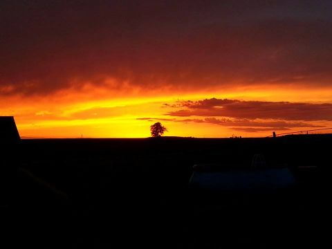 2010 Champion 188 - A vibrant sunset paints the sky with fiery colors over a silhouetted landscape.