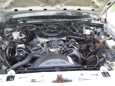 1991 Ford LTD Crown Victoria - Engine bay of a 1991 Ford Crown Victoria LTD shows the V8 engine and associated components.