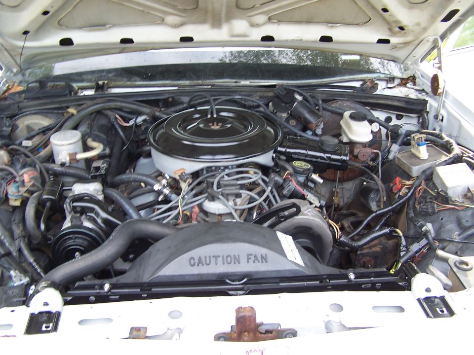 1991 Ford Crown Victoria LTD engine bay with V8 engine, air cleaner, and fan shroud. White hood is open