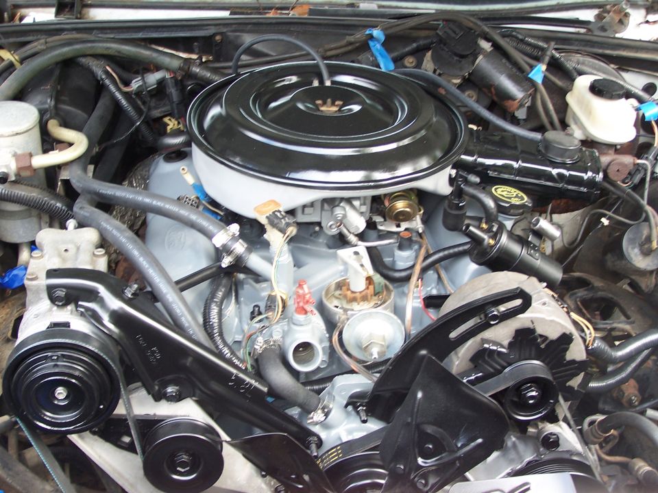 Engine bay with air cleaner, distributor, and alternator