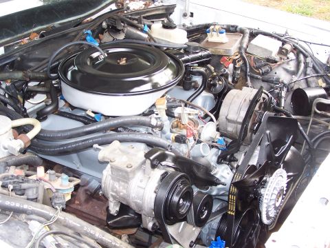 1991 Ford LTD Crown Victoria - The engine compartment of a vehicle, showing the air cleaner, alternator, and air conditioning compressor.