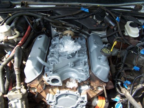 1991 Ford LTD Crown Victoria - Engine bay with gray painted intake manifold and valve covers, showing engine components.