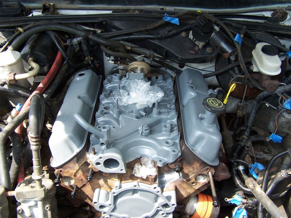 Engine bay with gray intake manifold and valve covers