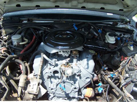 1991 Ford LTD Crown Victoria - The engine bay of a 1991 Ford Crown Victoria LTD is visible, with the V8 engine components clearly displayed.