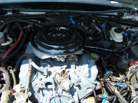 1991 Ford LTD Crown Victoria - Close-up view of an engine bay, a black air cleaner and grey painted engine components.