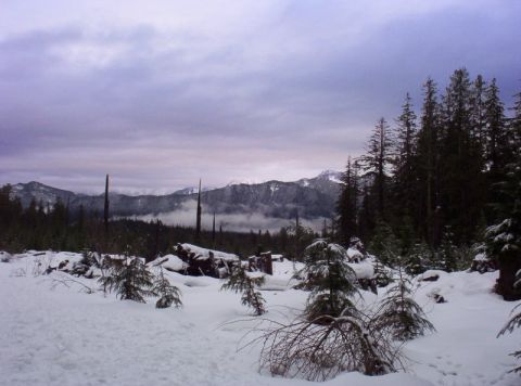1982 Ford Bronco - Winter scene in a mountainous area with snow covering the ground and trees.