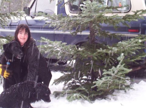 1982 Ford Bronco - A woman and her dogs pose in the snow next to a blue Ford Bronco SUV.