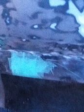1996 Ford Bronco - Close-up of a vehicle body panel showing repair work and a website logo.
