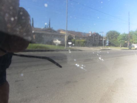 2003 Honda CR-V - Reflection on a car's surface shows a street scene with buildings and trees under a clear blue sky.