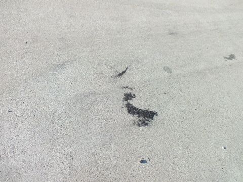 2003 Ford Crown Victoria - close-up of gray concrete pavement marked by a dark tire scuff smear and scattered debris.