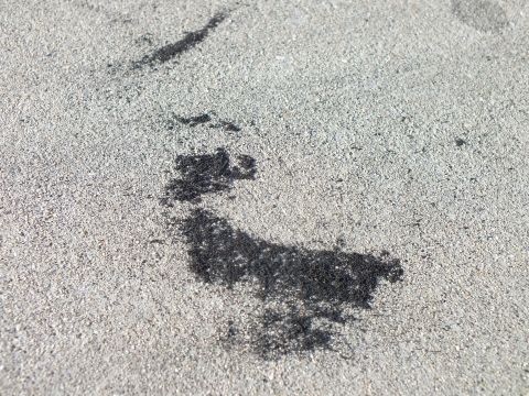 2003 Ford Crown Victoria - close-up of dark black tire rubber smeared and burned across gray concrete pavement.