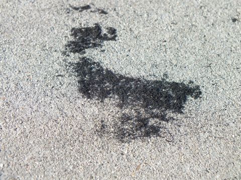 2003 Ford Crown Victoria - close-up of a heavy black tire burnout mark with rubber deposited across gray concrete pavement.