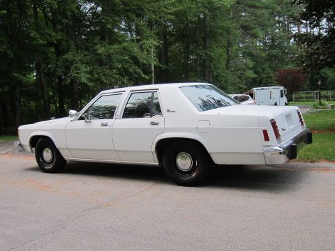 1991 Ford LTD Crown Victoria - A white sedan, likely from the 1980s, is viewed from its side against a backdrop of trees.