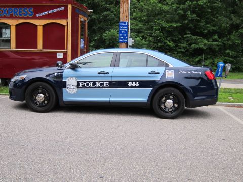1991 Ford LTD Crown Victoria - Side view of a two-tone blue Ford Police Interceptor lettered 'POLICE 911' parked along a curb by a red 'Express' food kiosk.
