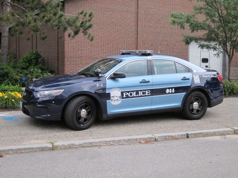 1991 Ford LTD Crown Victoria - two-tone blue Ford police sedan, unit P-2, marked Police 9-1-1 with roof lightbar, parked in a lot by a brick building.