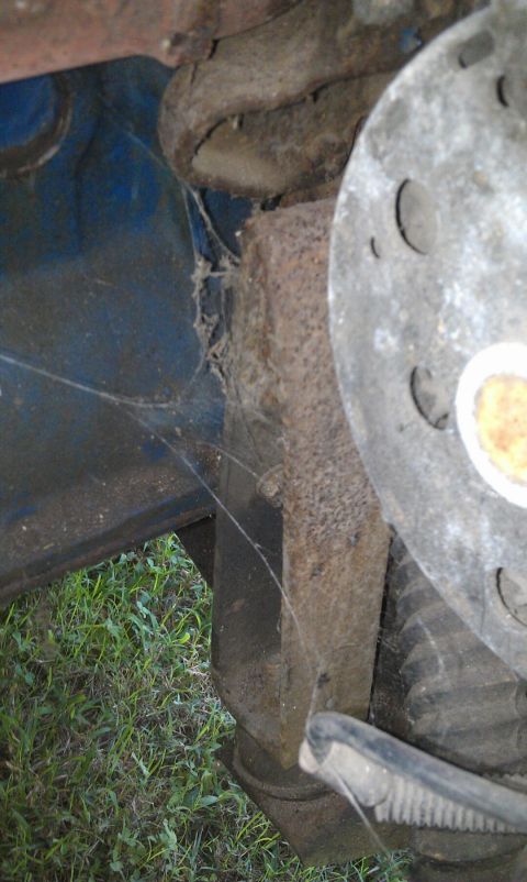 1957 Ford F-100 - This close-up shows rusty vehicle components and cobwebs, with grass visible below.