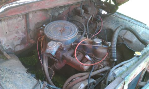 1957 Ford F-100 - Close-up view of a V8 engine, likely from a classic truck, showing the air cleaner and various hoses.